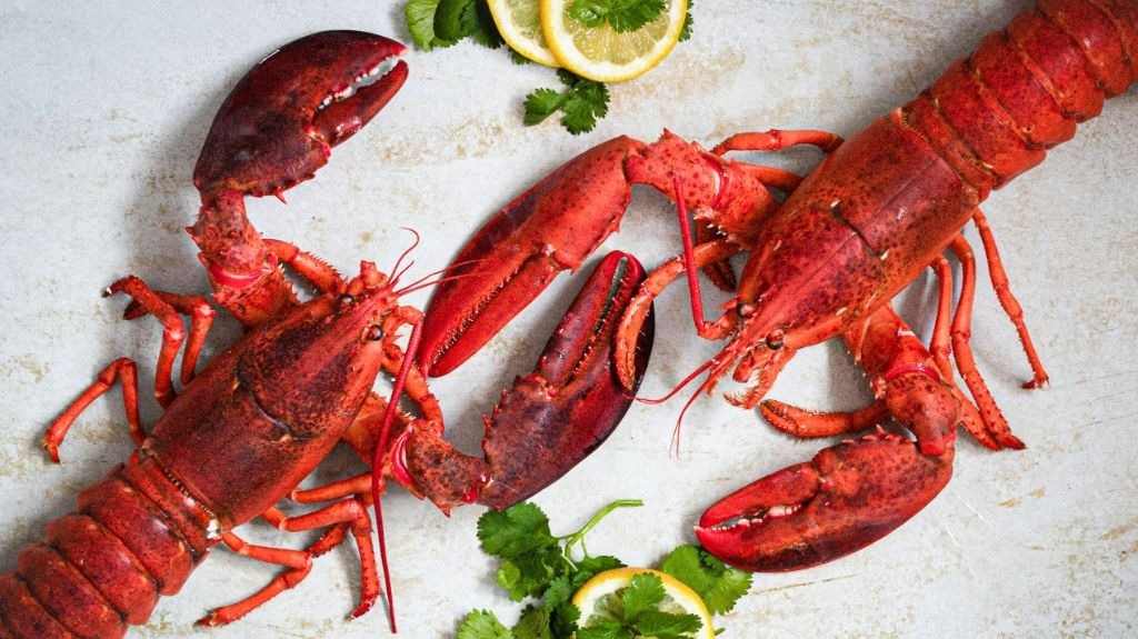 Où manger des fruits de mer cette saison?